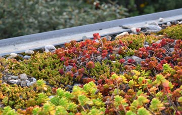 the cost of Seething Wells green roof installation
