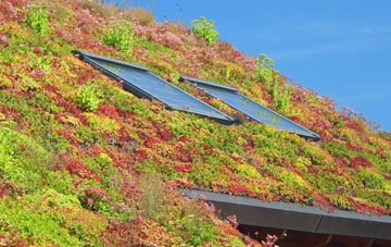Seething Wells living roof systems