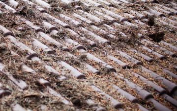 Seething Wells roof cleaning companies