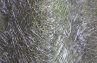 Seething Wells fibreglass roof work